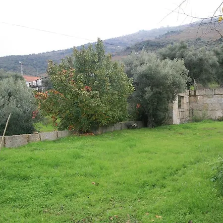 In Douro * Sao Joao da Pesqueira